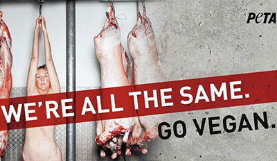 Veganismus - Tierschutz